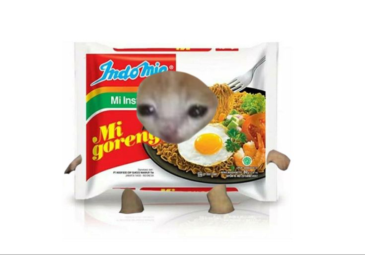 𝚇𝙻𝚅𝙸𝙸𝙸 tweet media
