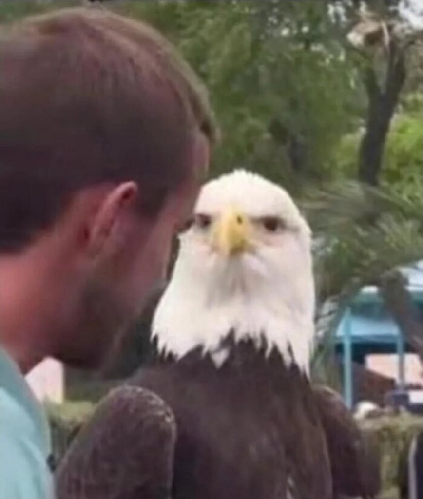 SHARKY | 💨 tweet media