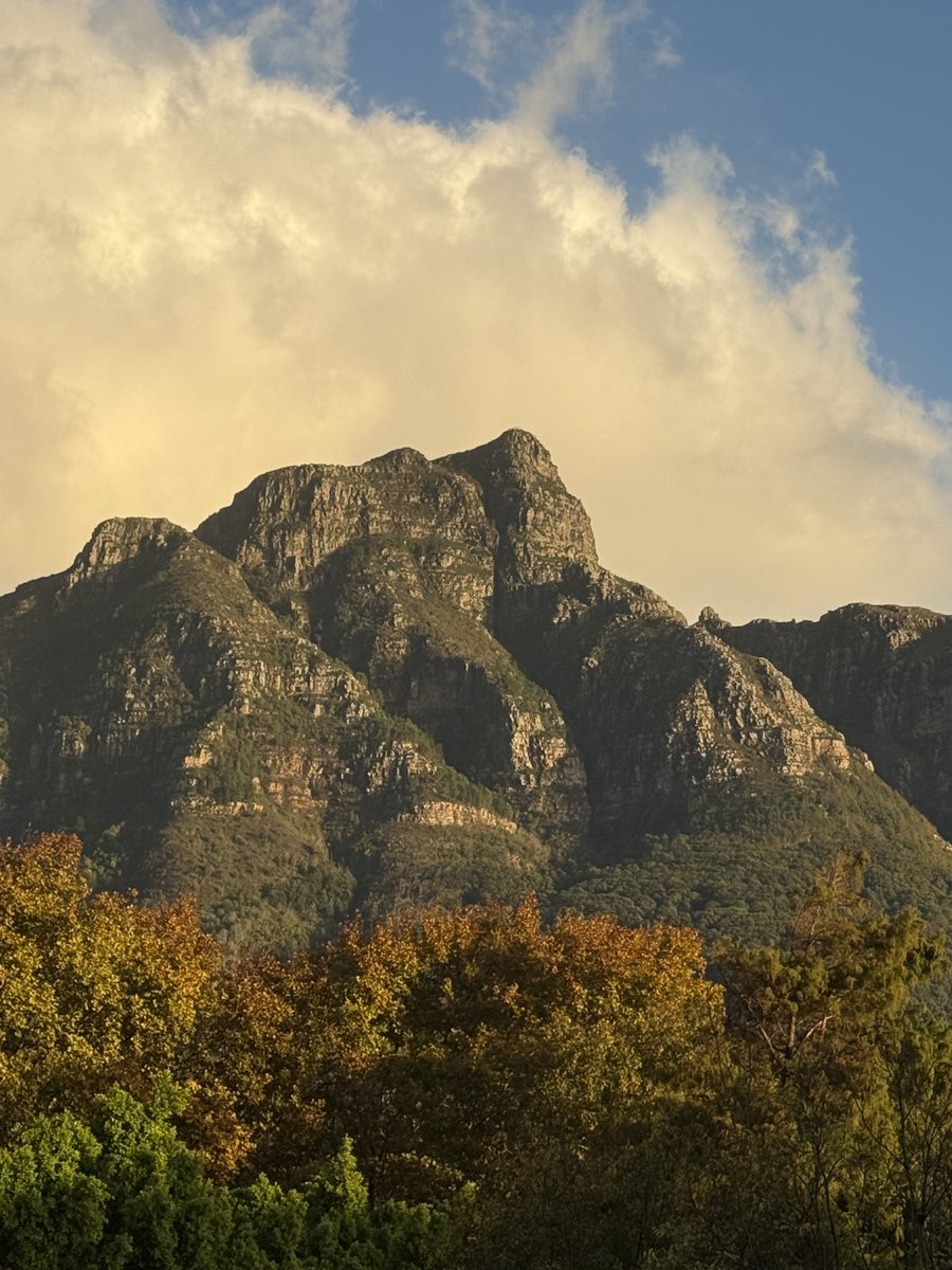 JudeStevens's tweet image. Good morning peeps from the tip of Africa, after a weekend of soaking rain and more to come. Nature will be delighted 🤩 🌺🌸🌿#weather #nature