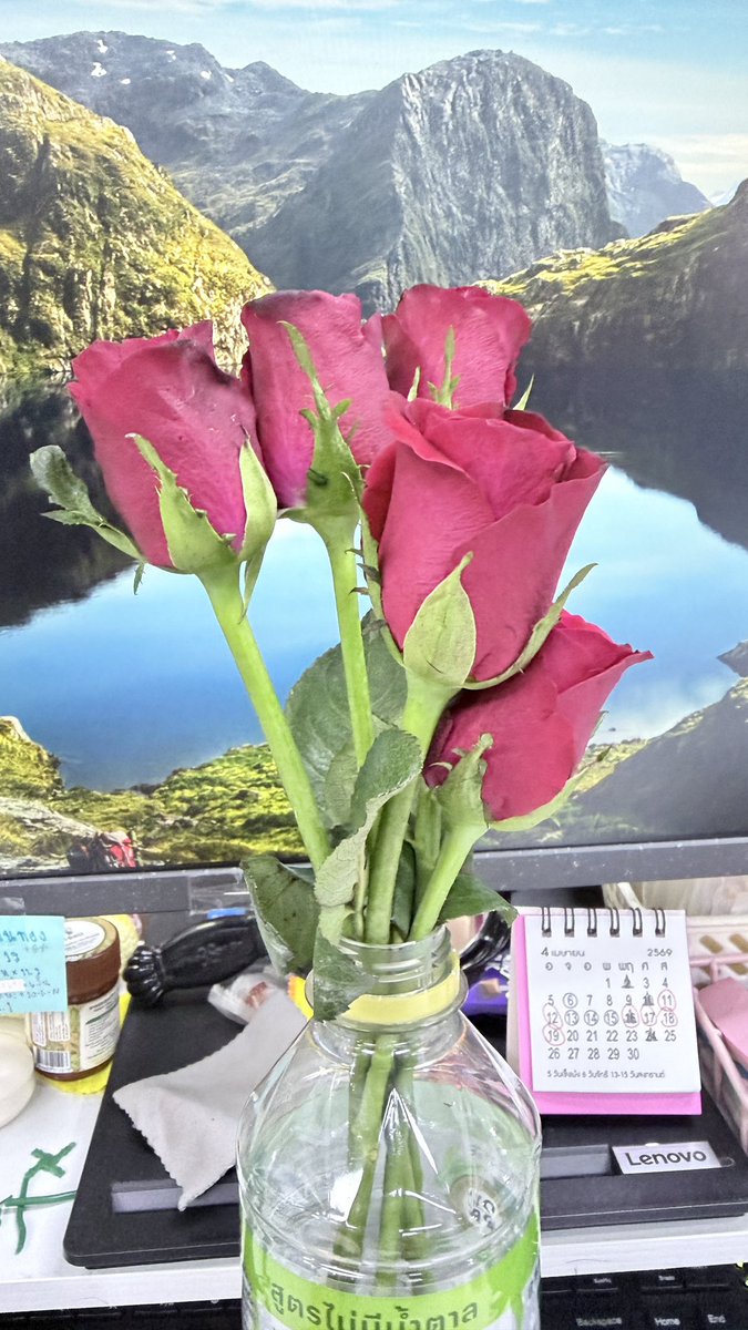 ตัวเล็ก ตัวน้อย tweet media