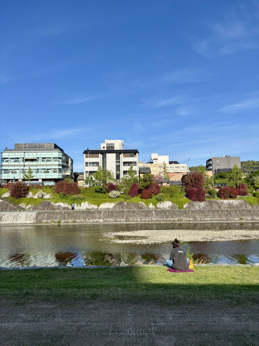 แพวไม่ชอบกินแมว tweet media