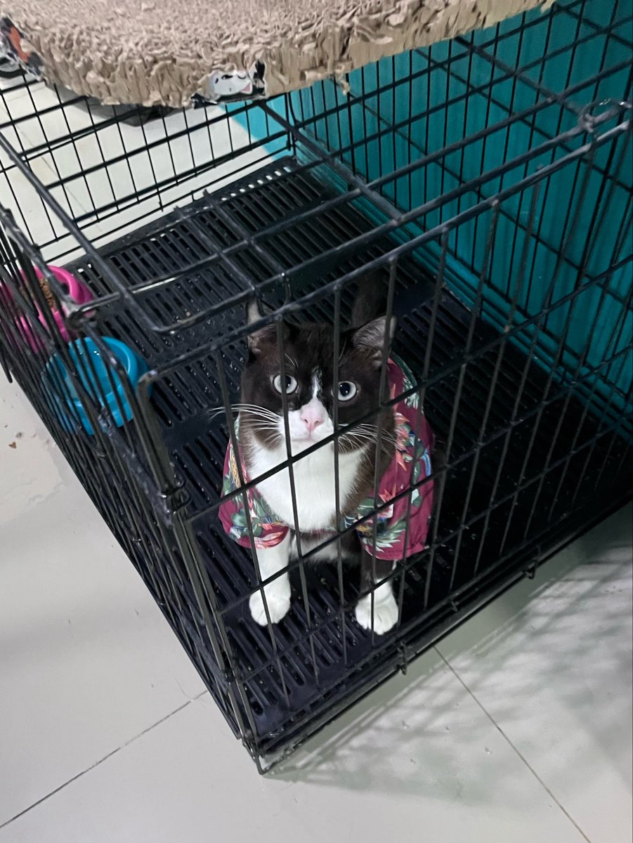 aปุ้ม tweet media