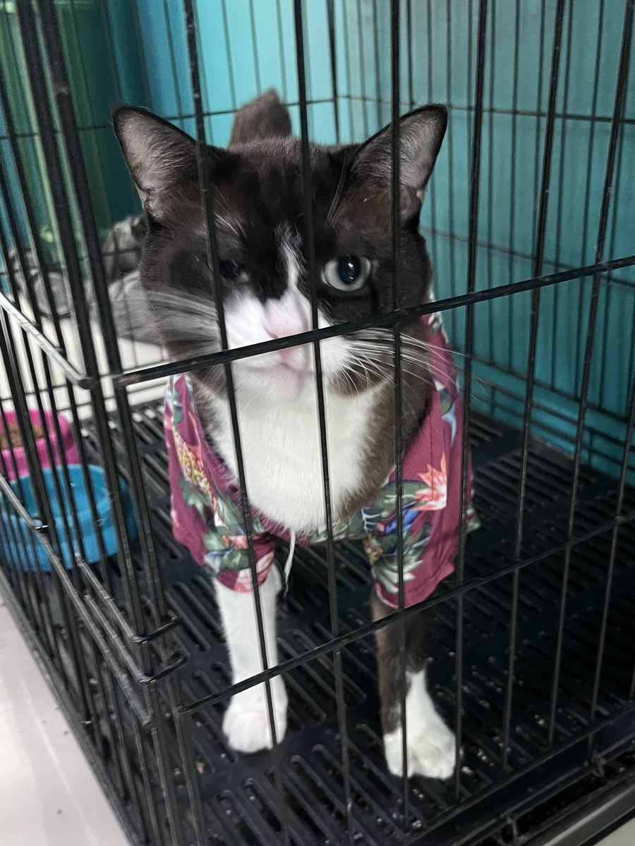 aปุ้ม tweet media