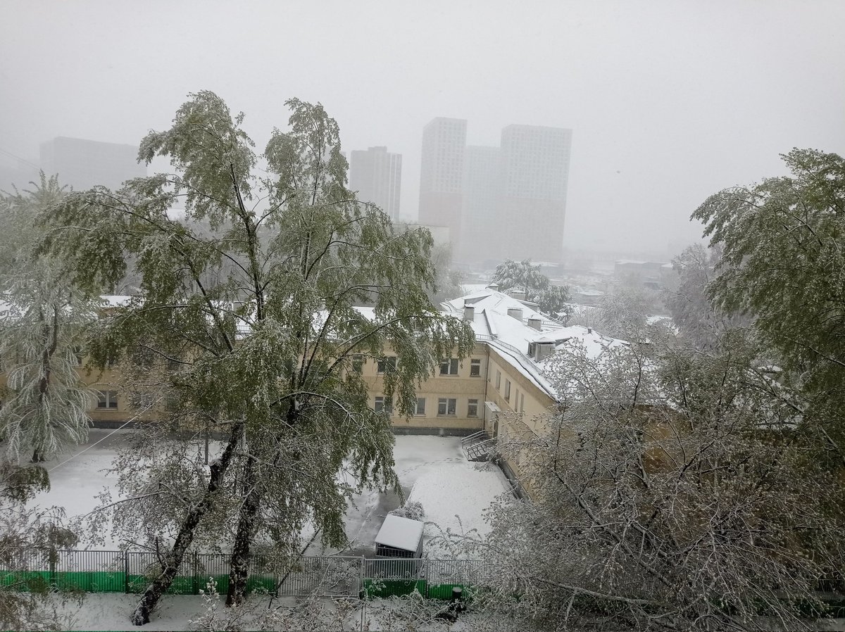 Вежливый Лось tweet media