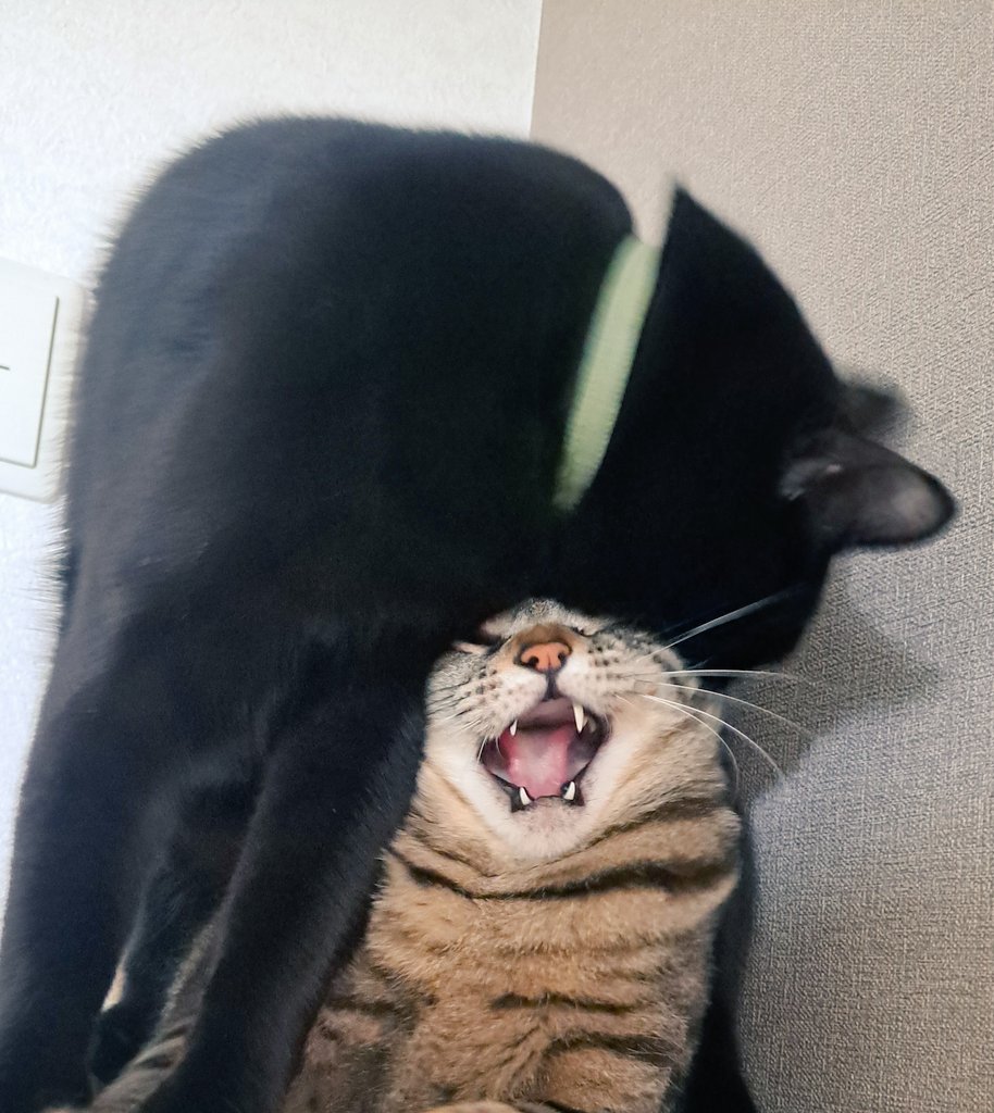 ←いんすた　えっくす→