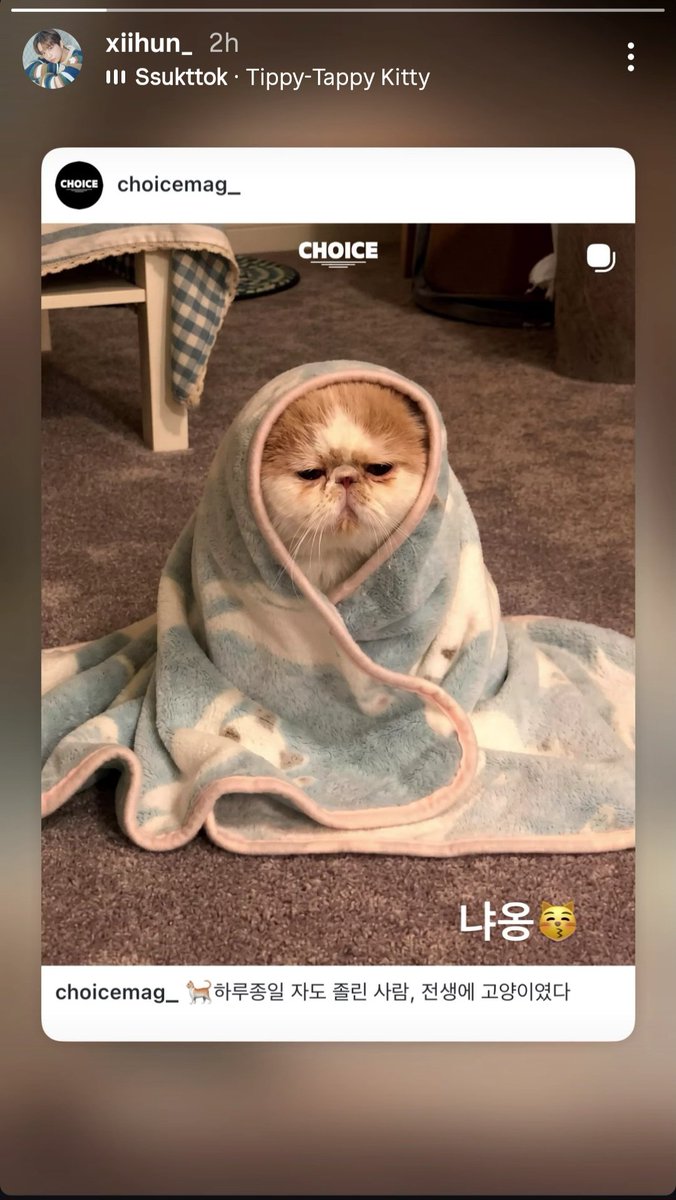 BDC_archive's tweet image. 260427 - #Sihun Personal Instagram Story 
#BDC #KimSihun #비디씨 #김시훈