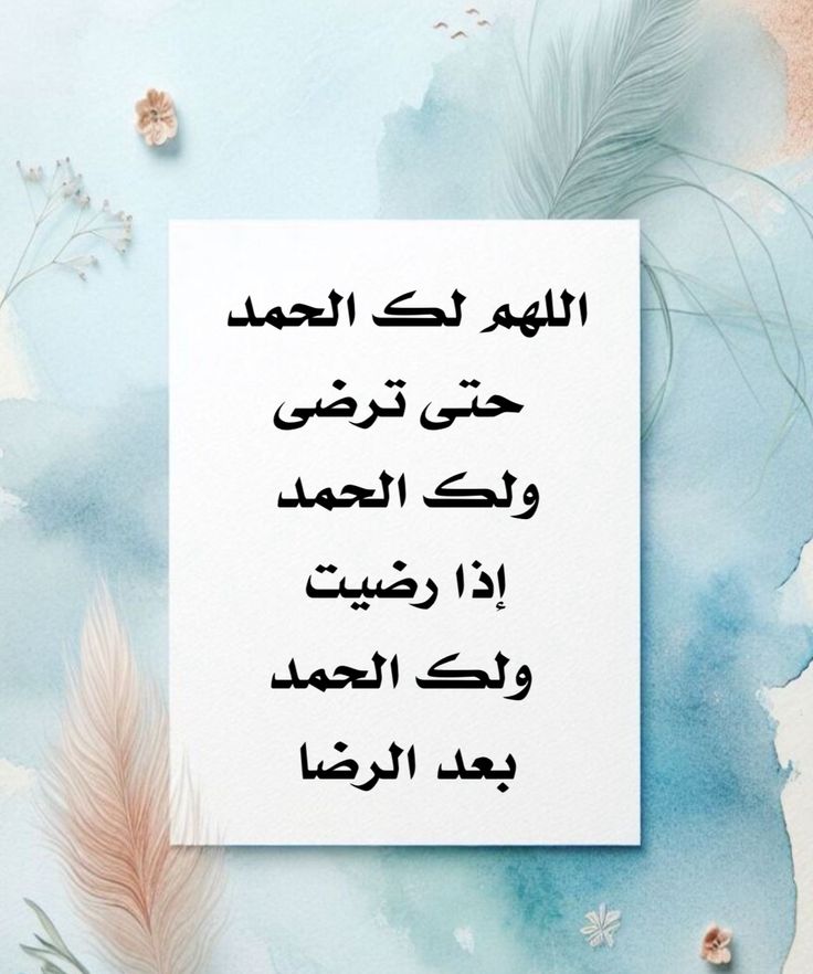 ( حنان قنديل) tweet media
