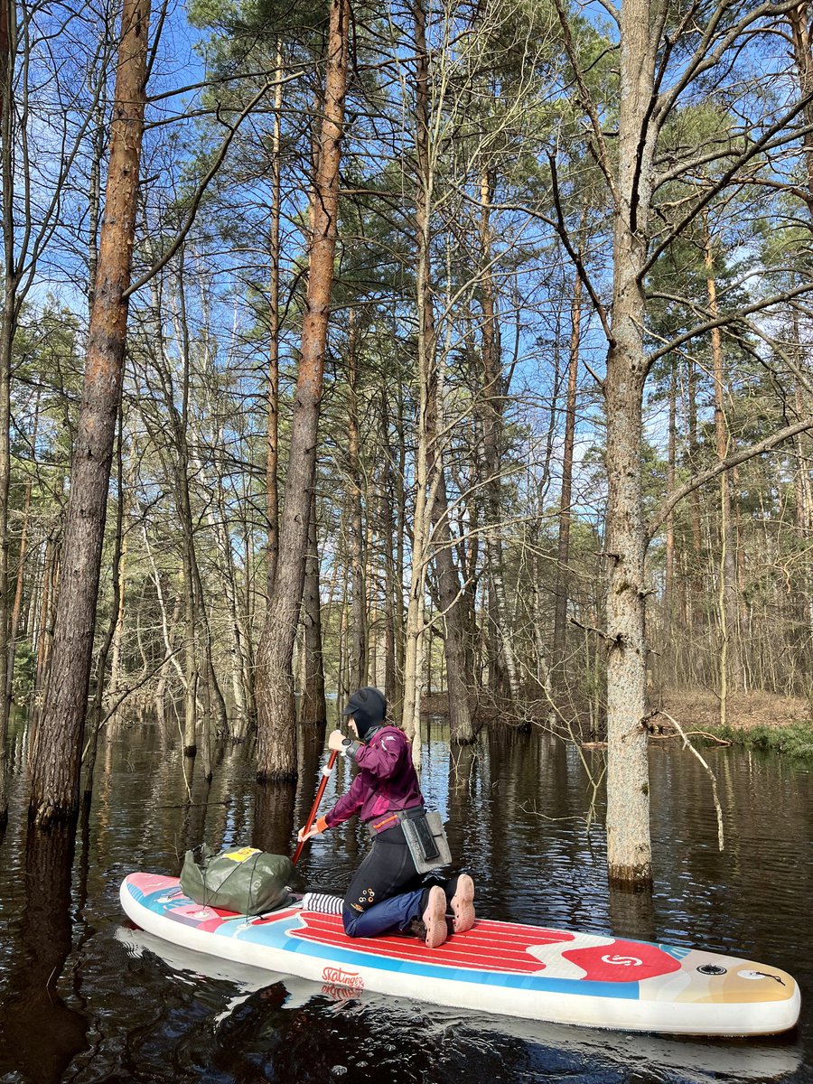 Skatinger_sup's tweet image. One board. Pure freedom.
Ride with Skatinger.
#Skatinger #PaddleBoard #InflatableSUP #SUPLife