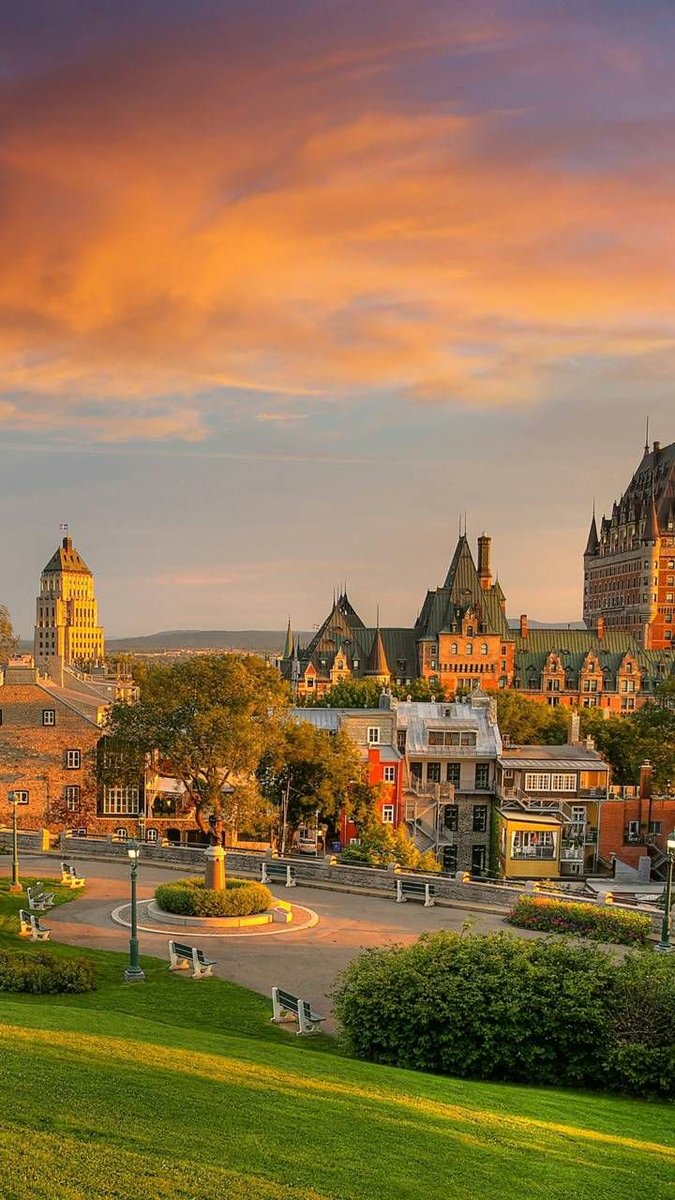 Beauty Explorer tweet media