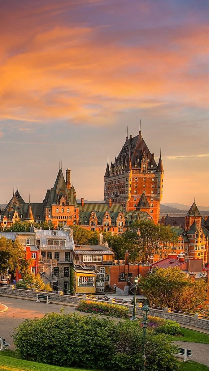 Beauty Explorer tweet media