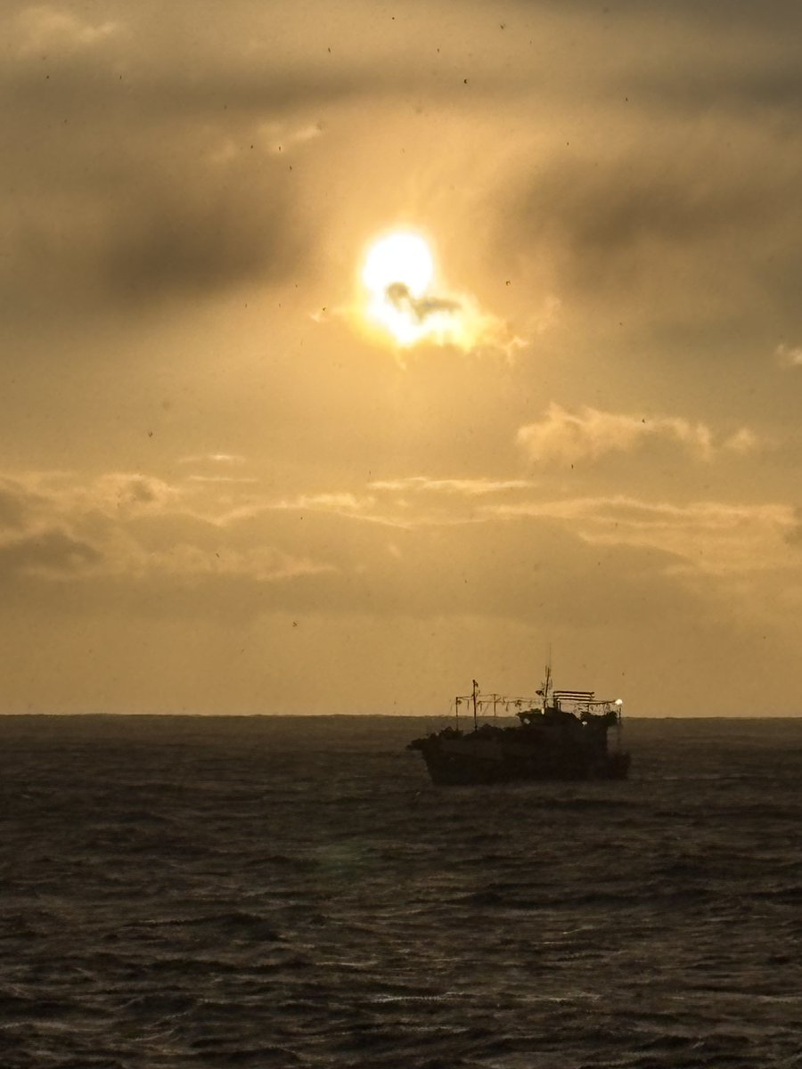 Capt Mylo tweet media