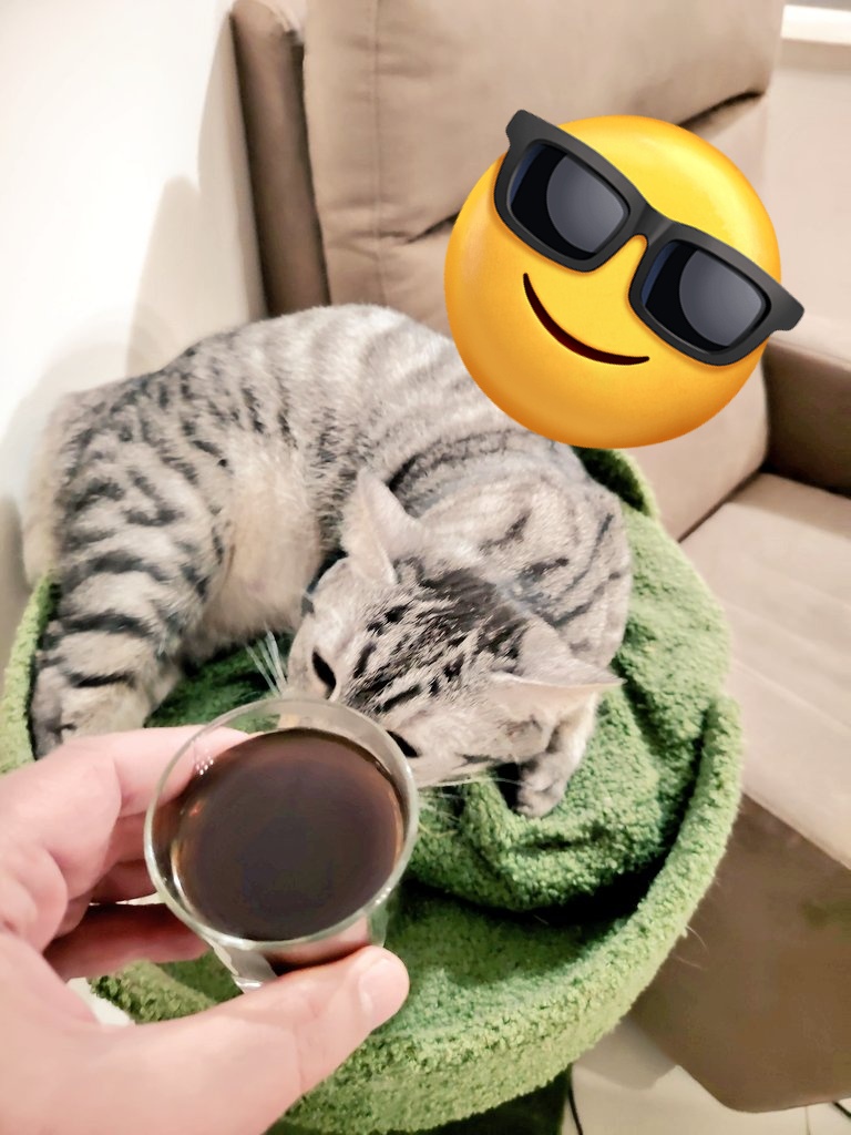 lupottoag's tweet image. Buongiorno Raga 😘😘😘😘e buon Lunedì. Oggi è festa patronale al paesone e quindi niente lavoro, quindi mi gratto le palle ⚾ ⚾ mentre voi sputate bile a lavoro😈😈😈. Intanto buon #Coffee ☺️☺️☺️☺️☺️☺️☕☕☕☕☕👋👋👋👋👋👋🌞🌞🌞🌞🌞🌞🌺🌺🌻🌻🪻🪻🌷🌷🌼🌼