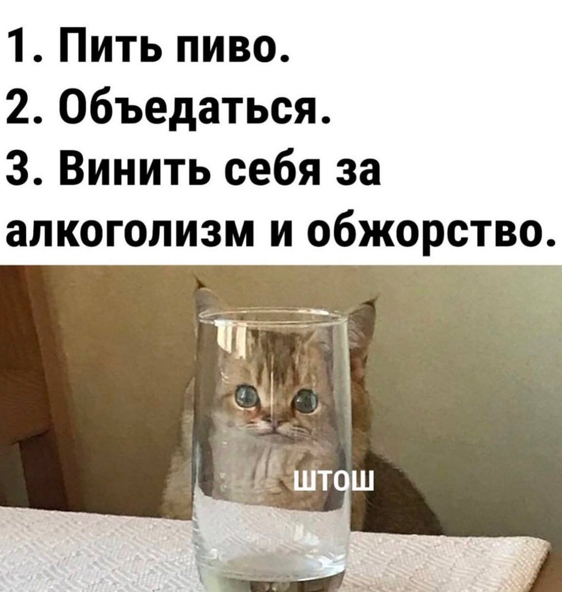 Лиса #ПротивВойны (@fanatism_hater) on Twitter photo 