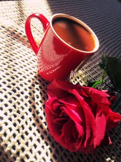 Gardenia21/3🇯🇴 tweet media