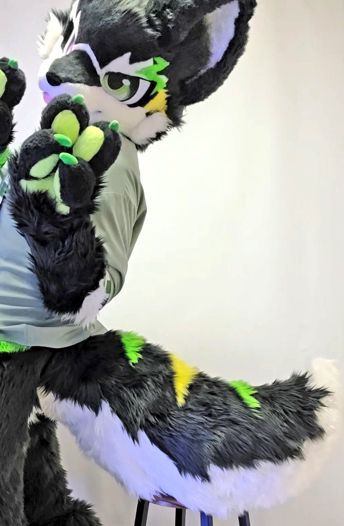 XENO/ゼノ tweet media