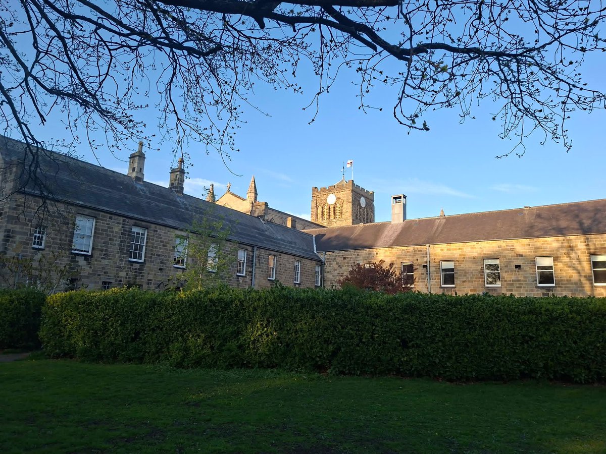 Helencello's tweet image. 🪻🌸Bluebells and Blossom🌸🪻 
An evening stroll in Hexham Park, Northumberland 
@NorthEastTweets #wildflowers #SpringVibes