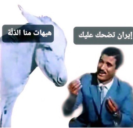 abo yousef tweet media