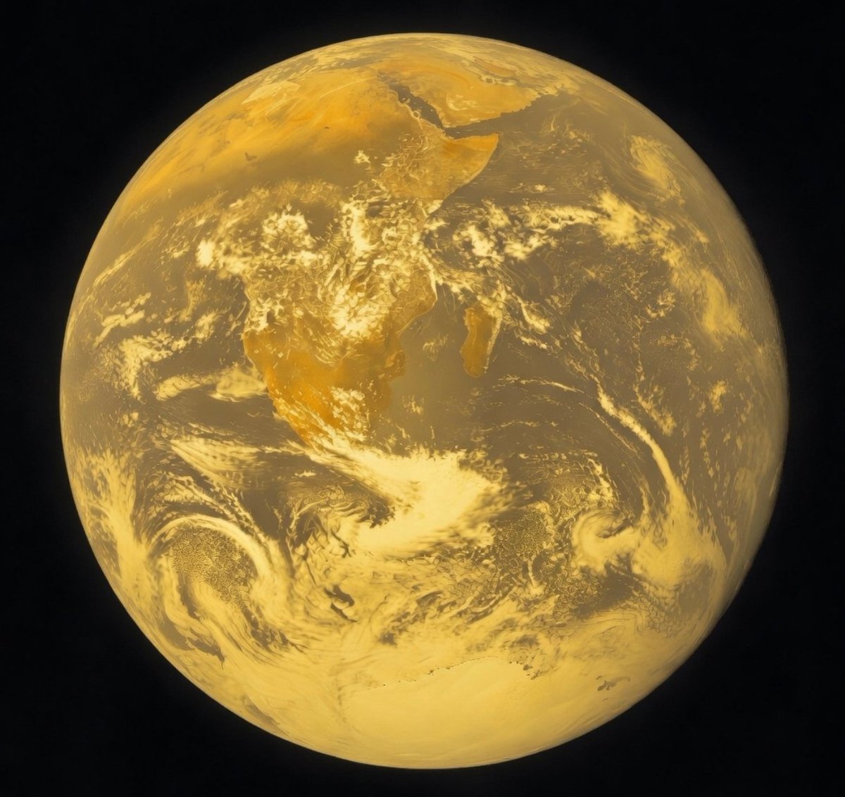 Neon Cosmo tweet media