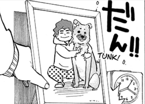 hoshiumi's PR team tweet media