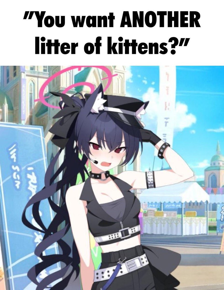 Tony Sopiano tweet media