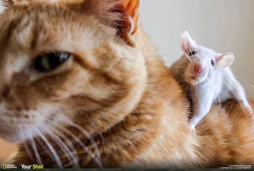 𝙒𝙖𝙡𝙠𝙚𝙧 tweet media