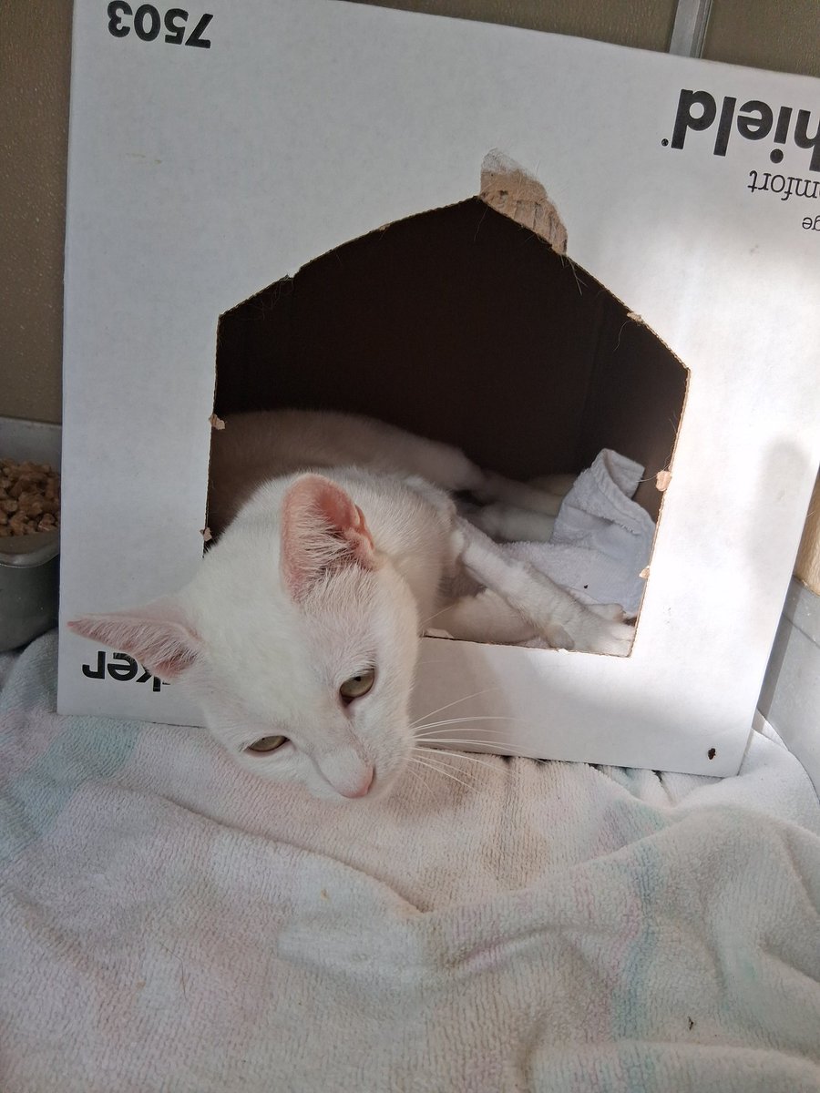 ⋆˚꩜｡RUE⋆˚࿔ tweet media