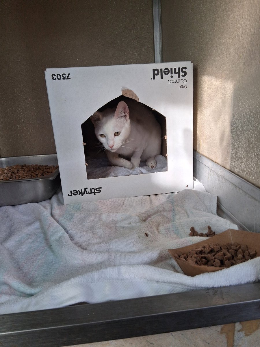 ⋆˚꩜｡RUE⋆˚࿔ tweet media