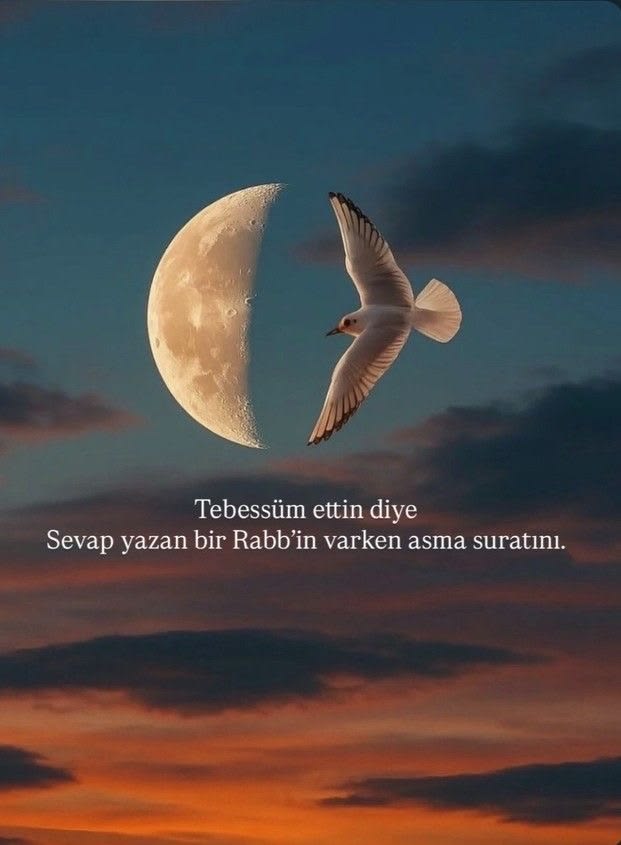 ཽʀɛʋռɛ_🖋 tweet media