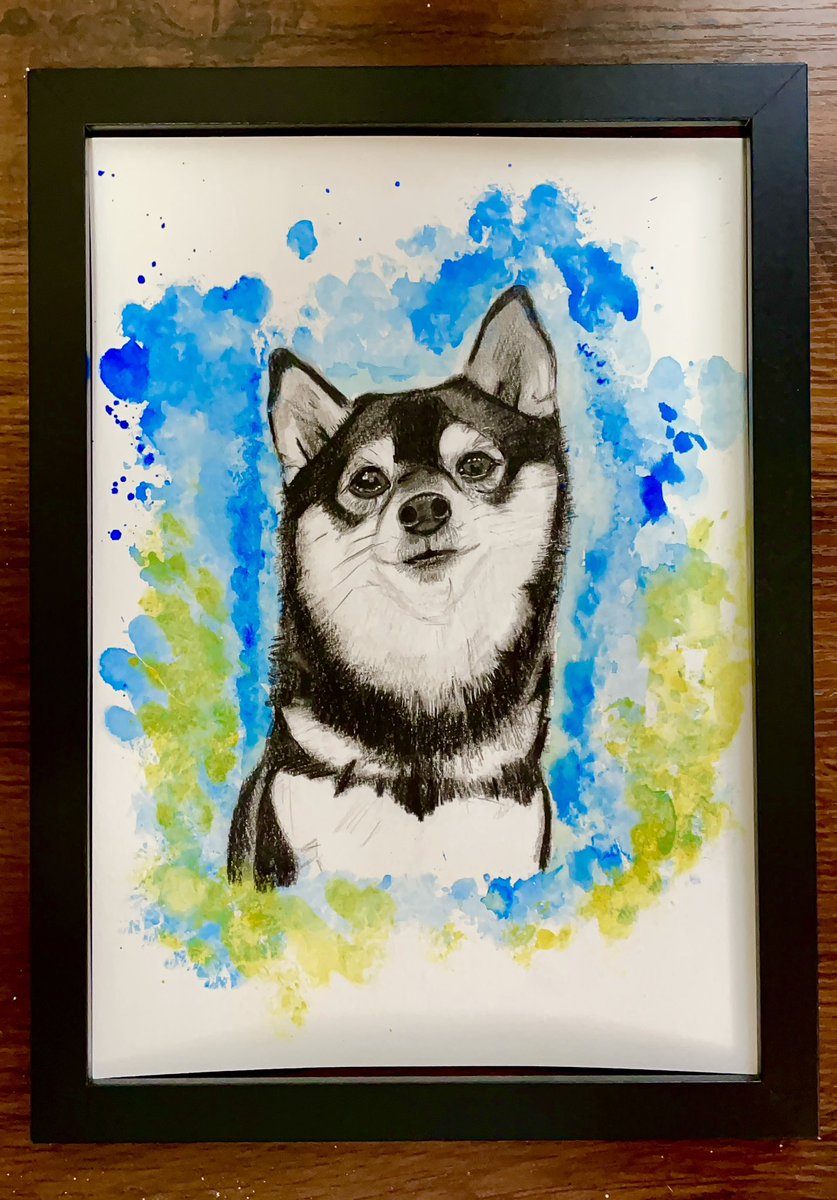 犬の絵練習 今回は黒柴：コマキを鉛筆画で描いてみました✏️ イラスト