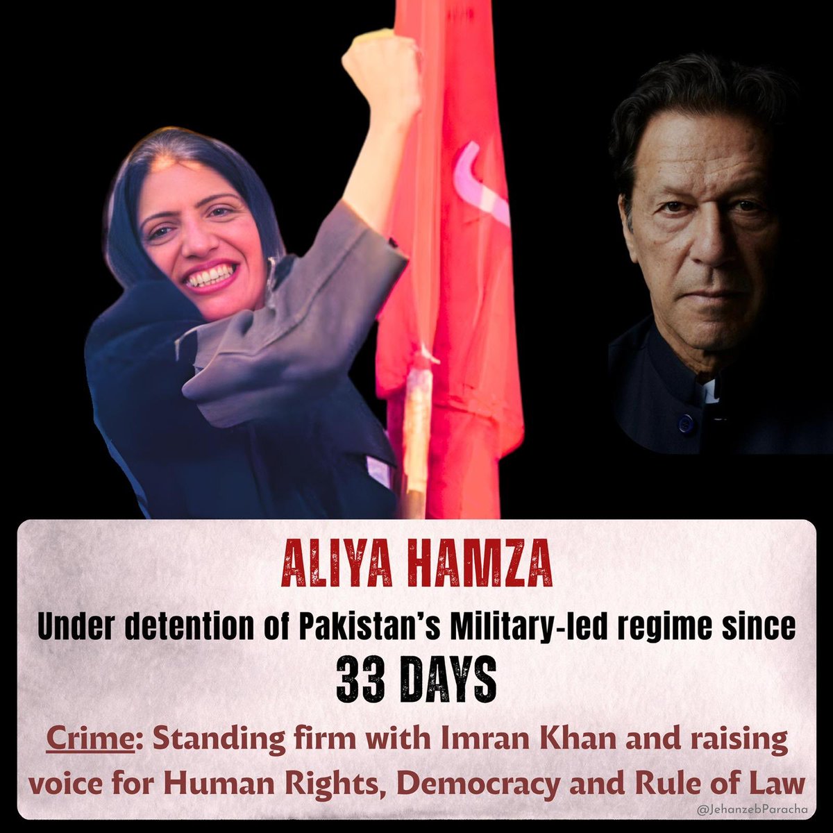 Aliya Hamza Malik tweet media