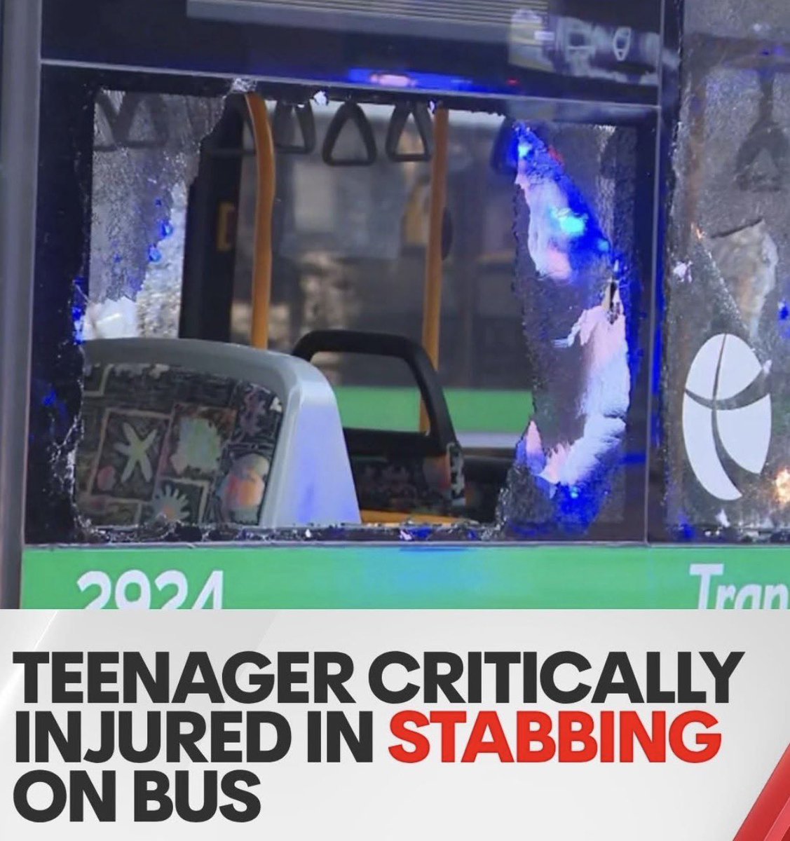 Lozzy B 🇦🇺𝕏 tweet media