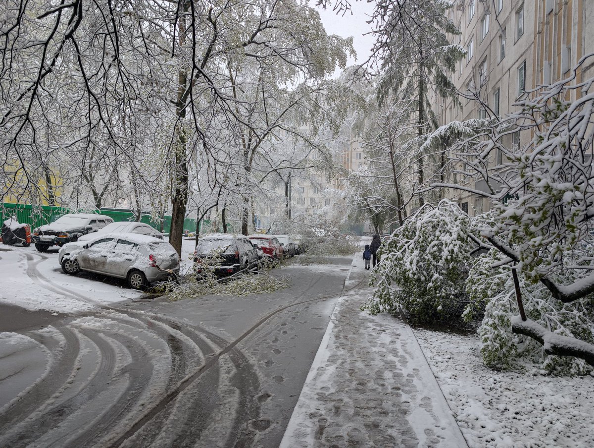 DSWNG's tweet photo. Снежное московское утро https://t.co/8AOGL0h0AU