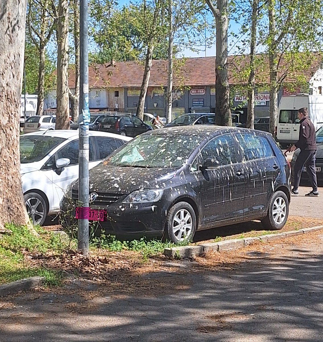 Daniela C.. tweet media