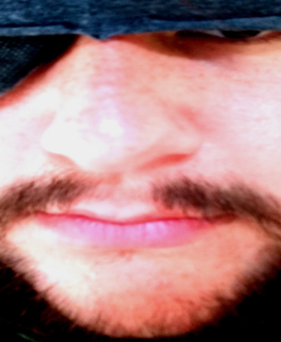 Dipermont ( Commissions Open ) tweet media