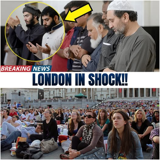 Make Europe Great Again - M.E.G.A tweet media