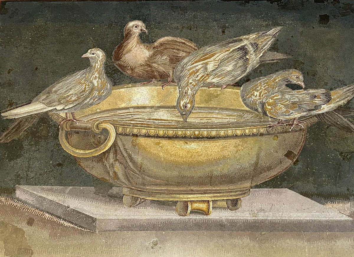 Kevin Wilbraham tweet media