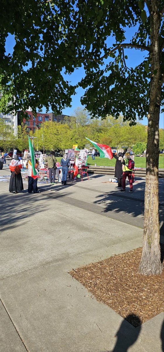 Fatemeh Neela Moadab, M.D. tweet media