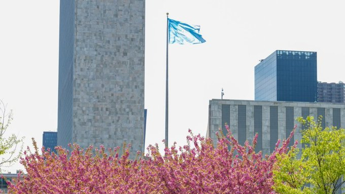 airnews_pune's tweet image. अण्वस्त्र प्रसारबंदी कराराच्या सदस्य देशांची या वर्षातली आढावा परिषद आजपासून न्यूयॉर्क इथं आजपासून सुरु होणार आहे. संयुक्त राष्ट्रांनी ही परिषद आयोजित केली आहे. निशस्त्रीकरण,अण्वस्त्रबंदी आणि अणू ऊर्जेचा शांततामय उपयोग याबाबतचा आढावा यावेळी घेतला जाईल.
#NPT2026 #UN #UnitedNations