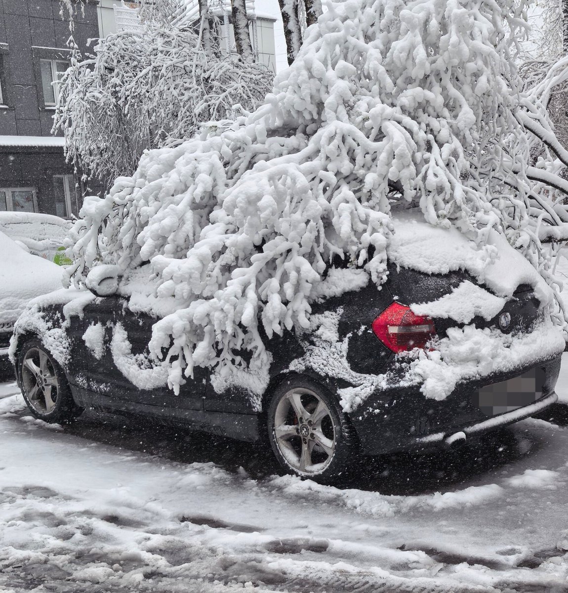 теория относительности эпштейна tweet media