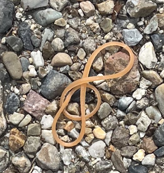 ぎょねん tweet media