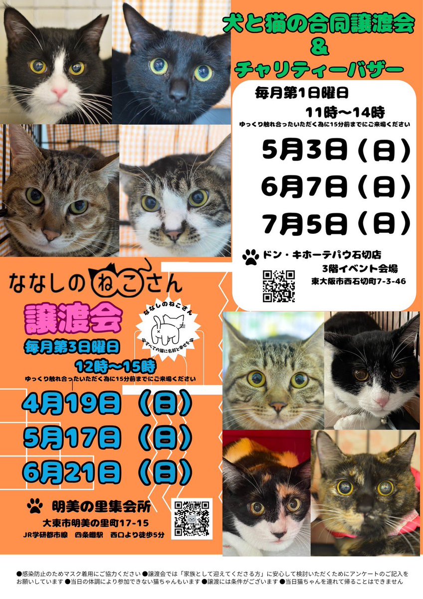 【24時間以内発送！コンビニ支払いも歓迎！】刀志猫のプワソン×3枚 🌀4.29 #徳島ヴォルティス 当日は夢と動物愛護をテーマとした音楽×動物