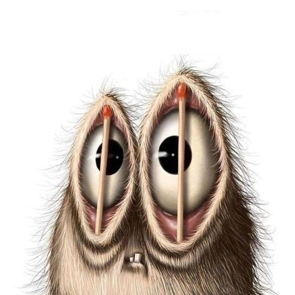 Lucek™ tweet media