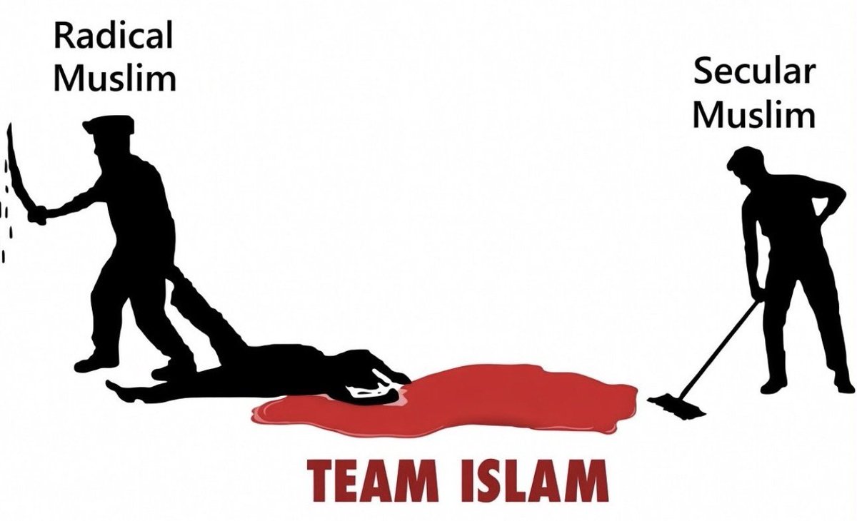 Seti 🐈‍⬛⊙⊝⊜ 🖤 tweet media