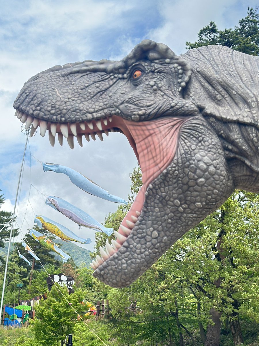 勝山市の中央こども園の園児たちと一緒にあげた恐竜こいのぼり🎏🦖

今日は心地よい風のなかで、気持ちよさそうに泳いでいます。

掲揚期間は5/12まで✨