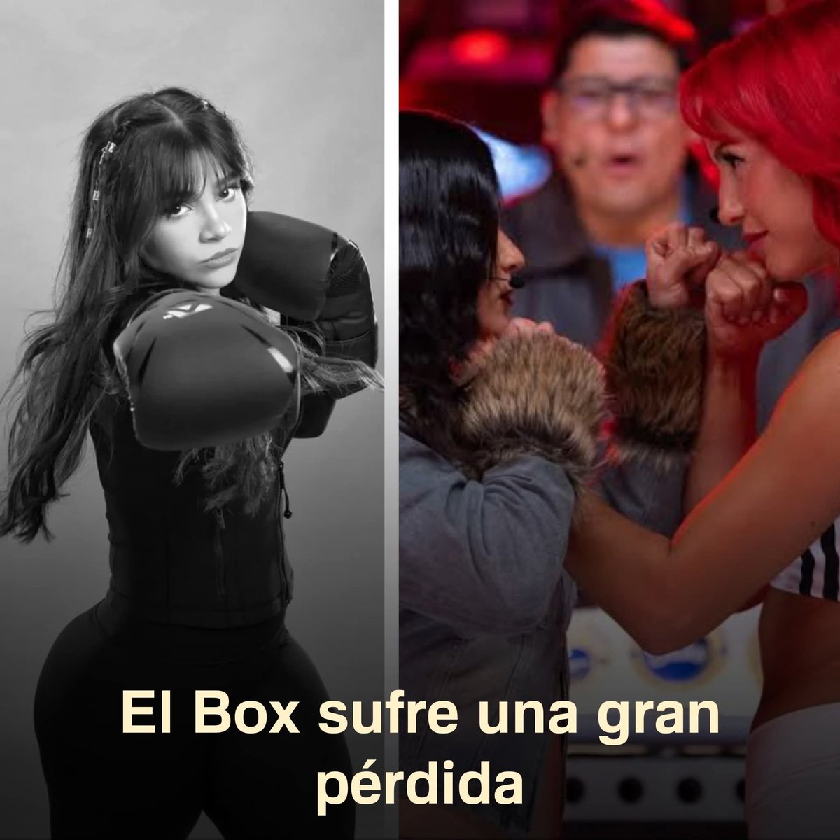 Algo_x_ tweet media