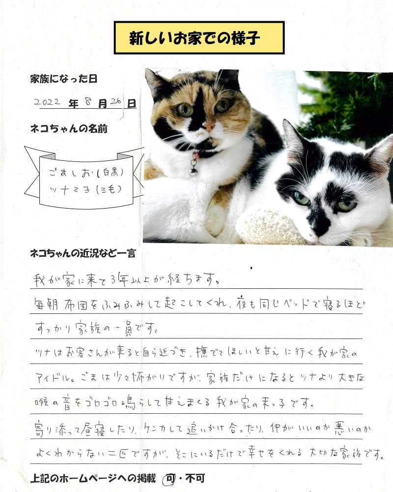 みなさん、こんにちワン！ 今日は新しい飼い主さんからのおたよりを