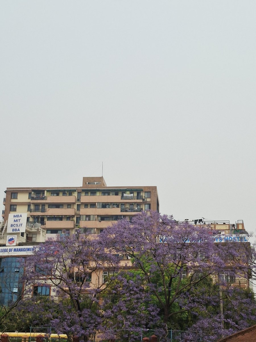 Jeevankhadka25's tweet image. #pictures of days