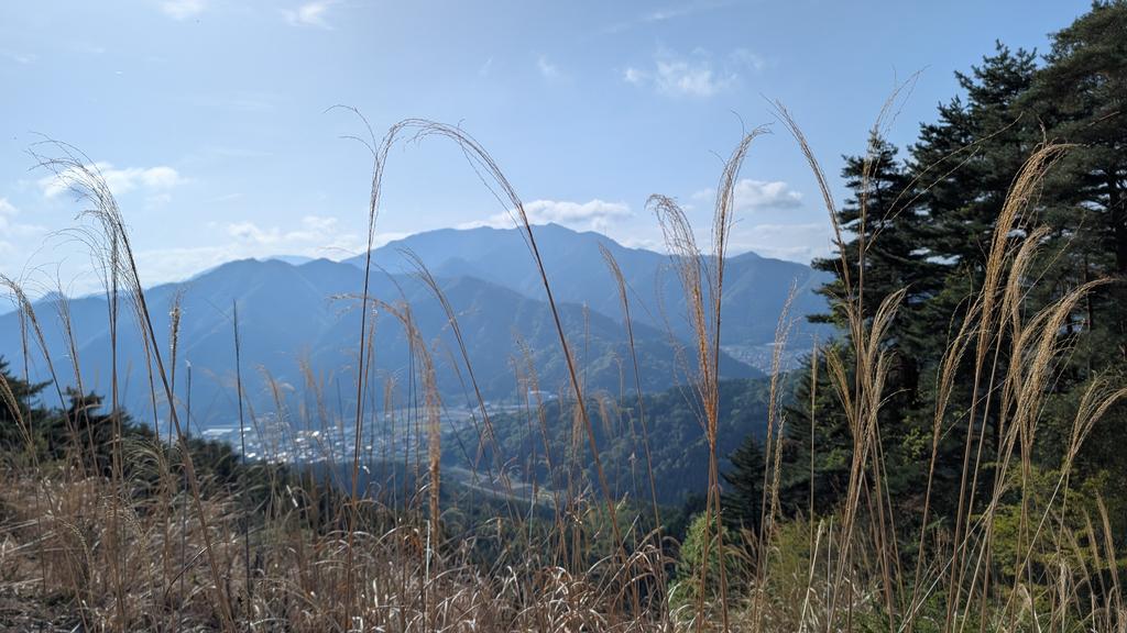 半袖船長🍥MtFUJI100 2026 完走！ tweet media