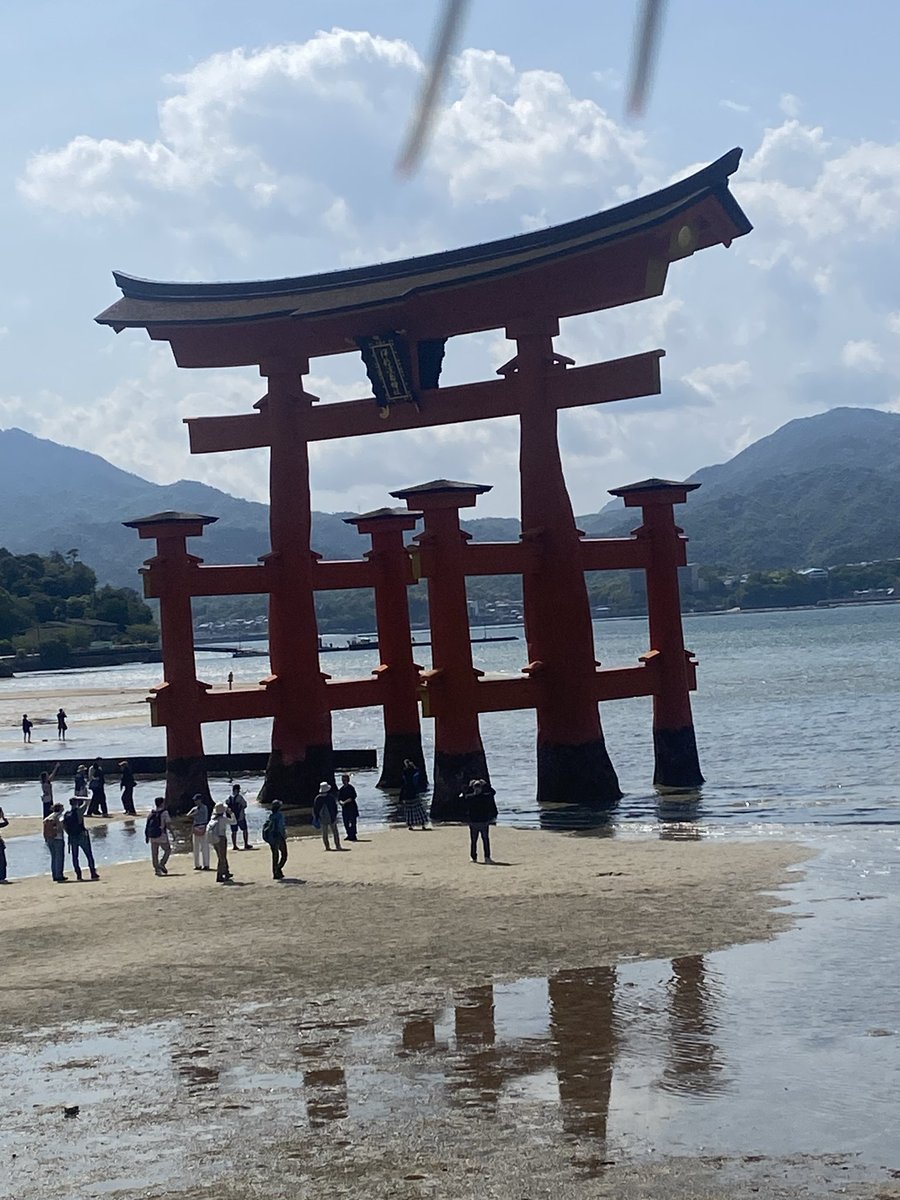 hitokago tweet media