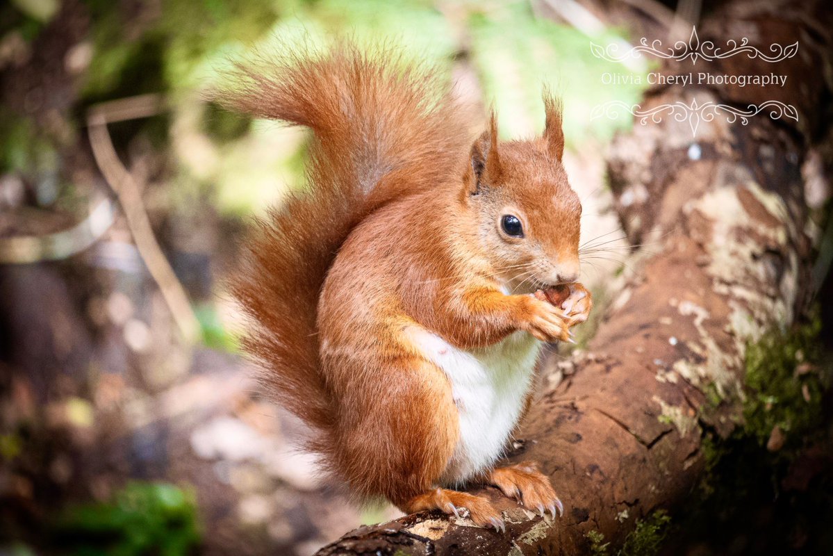 twistybonce's tweet image. Good morning 🌄 
Wishing you a wonderful start to your week 🧡
#daughterpic #MondayMotivaton #NaturePhotography